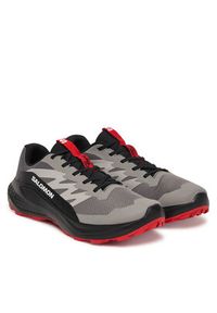salomon - Salomon Buty do biegania Alphaglide L48000800 Szary. Kolor: szary. Materiał: materiał #5