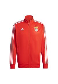 Adidas - Kurtka z dresu Benfica Lisbonne DNA 2024/25. Kolor: czerwony. Materiał: dresówka. Sport: piłka nożna #1