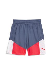 Spodenki Puma Individualcup Shorts, Mężczyźni. Kolor: niebieski, wielokolorowy. Materiał: materiał, poliester