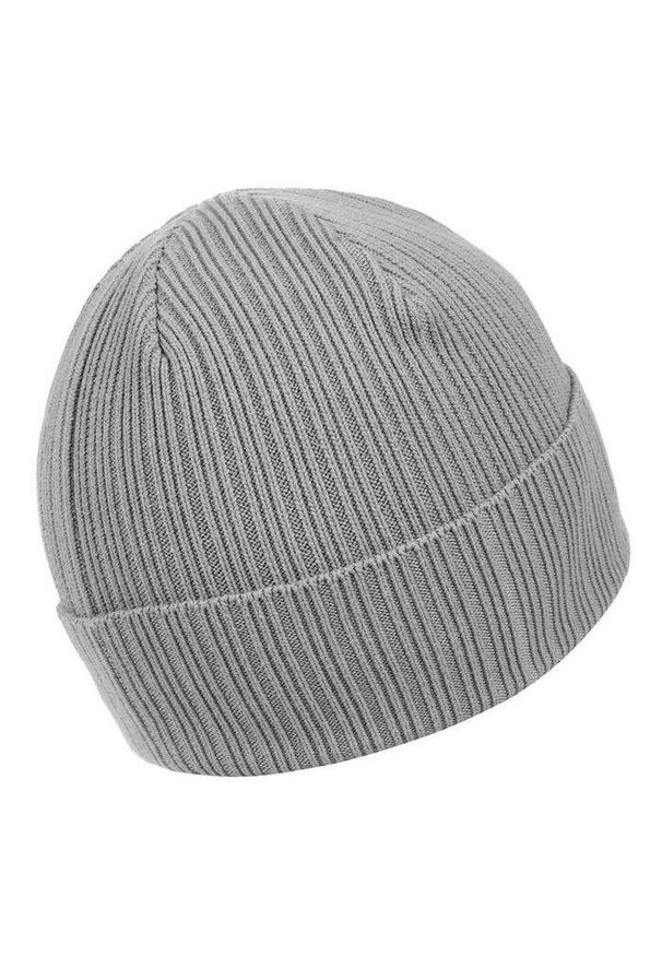 PITBULL - Czapka męska Pitbull zimowa Silvas Angel. Kolor: szary. Sezon: zima