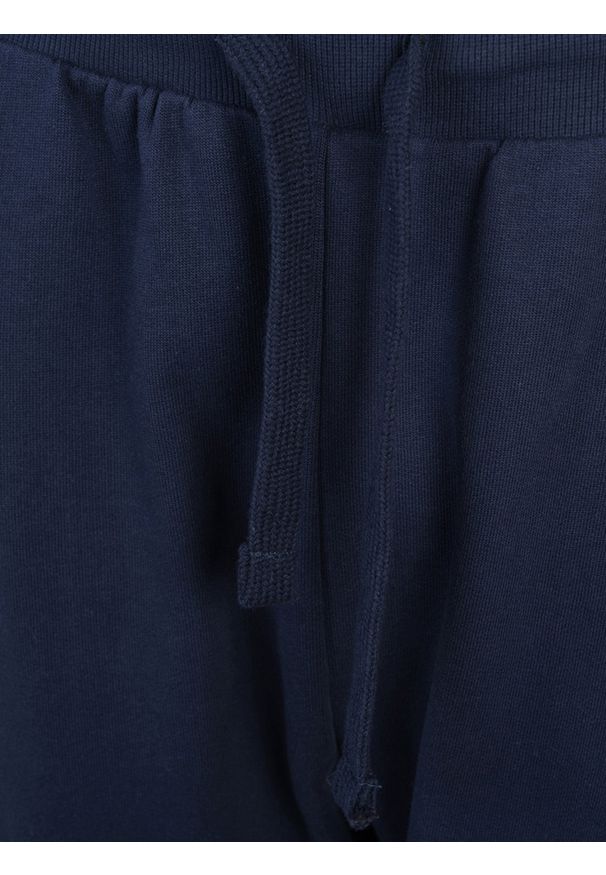 North Sails Spodnie | 90 3202 000 | Sweatpant W/Graphic | Mężczyzna | Granatowy. Okazja: na co dzień. Kolor: niebieski. Materiał: bawełna. Wzór: aplikacja, nadruk. Styl: casual