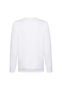 FRUIT OF THE LOOM - Bluza Dziecięca Premium. Kolor: biały