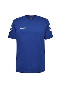 Koszulka sportowa z krótkim rękawem męska Hummel hmlGO cotton. Kolor: wielokolorowy, niebieski, biały. Długość rękawa: krótki rękaw. Długość: krótkie