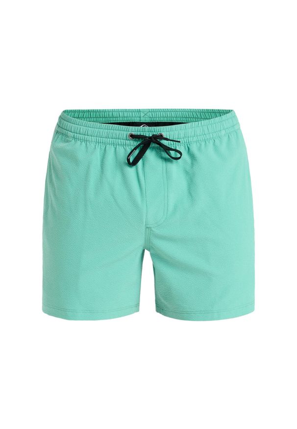 Quiksilver - Szorty kąpielowe dla Mężczyzn EVERYDAY FLEX VOLLEY 15". Kolor: zielony. Materiał: elastan, poliester, materiał. Styl: sportowy