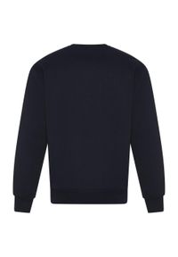 AWDIS - Bluza Dla Dorosłych Unisex Signature Heavyweight. Kolor: niebieski