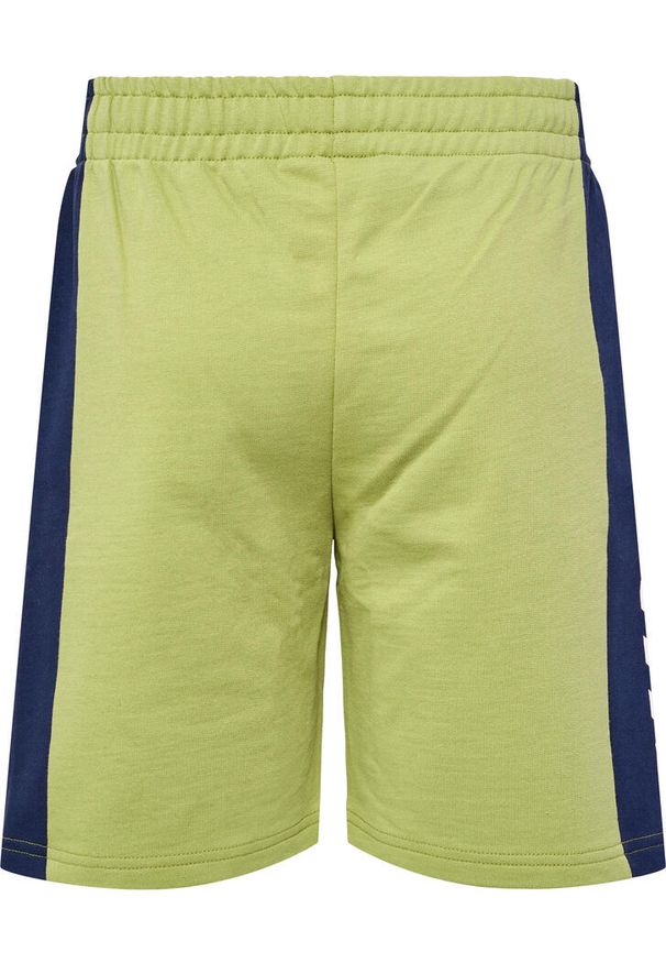 Szorty dziecięce Hummel Rush Block. Okazja: na uczelnię. Kolor: zielony. Styl: sportowy. Sport: joga i pilates
