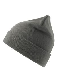 ATLANTIS - Czapka Unisex Dla Dorosłych Pier Polartech Lined Beanie. Kolor: szary. Sezon: zima