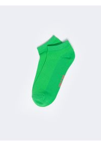 Big-Star - Stopki damskie prążkowane zielone Shortila 301. Kolor: zielony. Materiał: prążkowany. Wzór: prążki #1
