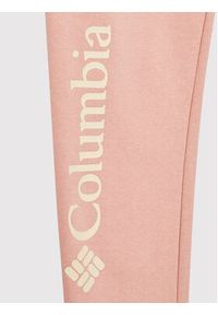 columbia - Columbia Spodnie dresowe Trek™ 1989811 Różowy Regular Fit. Kolor: różowy. Materiał: syntetyk