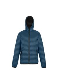 Regatta - Męska Ocieplana Kurtka Rigain. Kolor: wielokolorowy, niebieski, szary, czarny. Materiał: puch. Sport: turystyka piesza #1