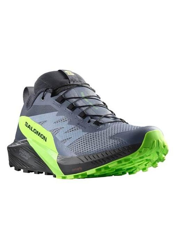 salomon - Buty do biegania męskie Salomon Sense Ride 5 Gtx. Zapięcie: sznurówki. Kolor: wielokolorowy. Materiał: syntetyk, materiał. Szerokość cholewki: normalna