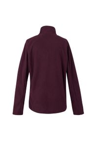 Regatta - Bluza Damska Heidy Z Pełnym Zamkiem Błyskawicznym. Kolor: fioletowy. Sezon: zima. Styl: sportowy. Sport: turystyka piesza #2