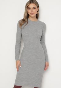Born2be - Szara Sukienka Dzianinowa Dopasowana Morttina. Okazja: na co dzień. Kolor: szary. Materiał: dzianina. Długość rękawa: długi rękaw. Wzór: aplikacja. Typ sukienki: proste. Styl: klasyczny, elegancki, casual. Długość: midi #5