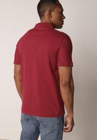 Born2be - Bordowa Gładka Koszulka Polo o Klasycznym Kroju Sinopea. Okazja: na co dzień, do pracy, na spotkanie biznesowe. Typ kołnierza: polo. Kolor: czerwony. Materiał: jeans. Wzór: gładki. Styl: klasyczny #6