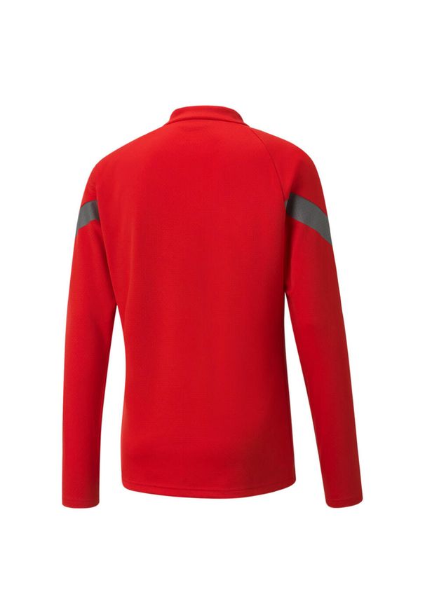 Bluza męskie Puma Teamfinal Training 14 Zip. Kolor: czerwony. Materiał: poliester, materiał. Sport: piłka nożna