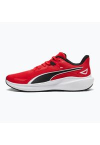 Buty do biegania męskie Puma Skyrocket Lite For All Time. Zapięcie: sznurówki. Kolor: czerwony, wielokolorowy. Materiał: guma, syntetyk, tkanina, materiał. Szerokość cholewki: normalna