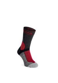 BRIDGEDALE - Skarpety rowerowe męskie Bridgedale MTB Winter Weight T2 Merino Sport Boot. Kolor: szary