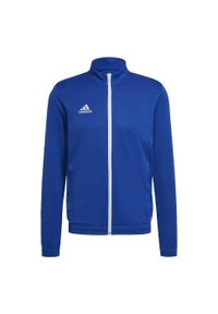 Adidas - Entrada 22 Track Jacket. Kolor: wielokolorowy, biały, niebieski. Materiał: materiał. Sport: piłka nożna