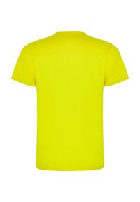 ROLY - Męska Koszulka Dogo Premium. Kolor: zielony. Sport: turystyka piesza