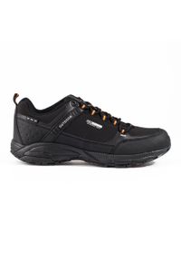 Męskie buty sportowe trekkingowe DK czarne. Kolor: czarny #1