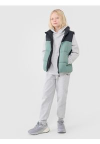 4f - 4F Bezrękawnik puchowy z wypełnieniem syntetycznym chłopięcy - zielony 152 (11-12 lat). Okazja: na co dzień. Typ kołnierza: kołnierzyk stójkowy. Kolor: zielony. Materiał: puch, syntetyk. Długość rękawa: bez rękawów. Długość: długie. Sezon: lato. Styl: sportowy, klasyczny, casual #2