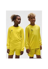Bluza dziecięca Hummel Essential. Kolor: żółty. Sport: joga i pilates #1