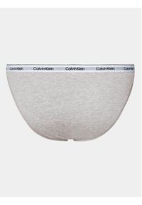 Calvin Klein Underwear Figi klasyczne 000QD5044E Szary. Kolor: szary. Materiał: bawełna