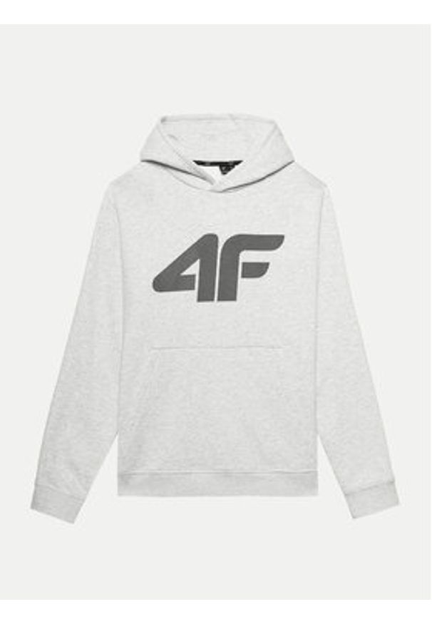 4f - 4F Bluza 4FWMM00TSWSM1464 Szary Regular Fit. Kolor: szary. Materiał: bawełna