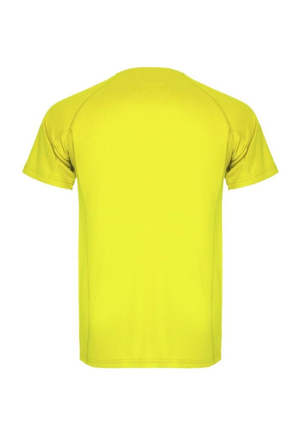 ROLY - Męska Koszulka Sportowa Montecarlo Z Krótkim Rękawem. Kolor: żółty. Długość rękawa: krótki rękaw. Długość: krótkie. Sport: turystyka piesza