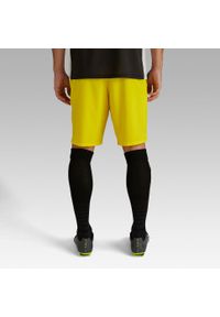 KIPSTA - Spodenki piłkarskie Kipsta Viralto Club. Kolor: żółty. Materiał: materiał, poliamid, poliester, elastan. Sport: piłka nożna, bieganie