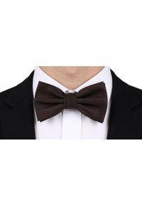 Mucha Męska z Poszetką - Chattier - Głęboki Brąz. Kolor: wielokolorowy, brązowy, beżowy. Styl: elegancki, sportowy #4