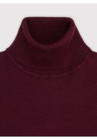 Pako Lorente - PAKO LORENTE - olf męski w bordowym kolorze. Typ kołnierza: golf. Kolor: szary, brązowy, czerwony, zielony. Materiał: nylon, wiskoza. Sezon: jesień #2