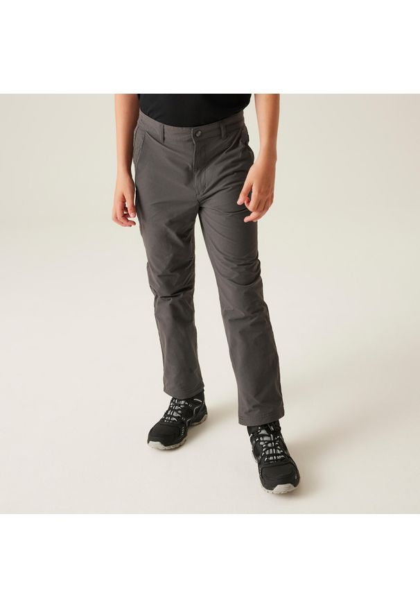 Regatta - Spodnie turystyczne dziecięce Highton Winter wodoodporne. Kolor: szary. Sezon: zima, lato. Sport: turystyka piesza