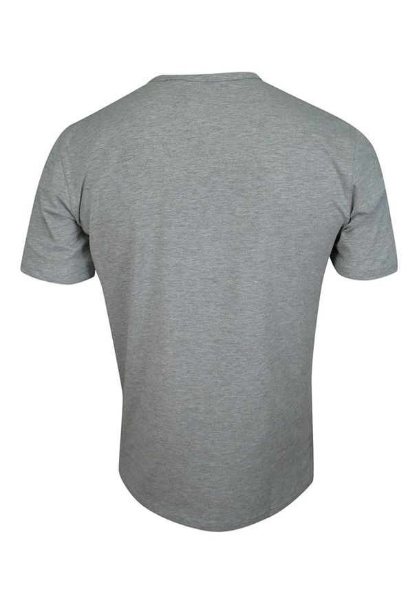 Pako Jeans - T-shirt Popielaty Gładki Bawełniany, Męski, Krótki Rękaw, U-neck -PAKO JEANS. Okazja: na co dzień. Kolor: szary. Materiał: bawełna, elastan. Długość rękawa: krótki rękaw. Długość: krótkie. Wzór: gładki. Styl: casual