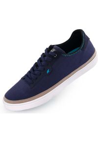 ZWL - Skórzane trampki Boxfresh Classic Low 45 dla mężczyzn. Kolor: wielokolorowy. Materiał: syntetyk, skóra. Sport: skateboard