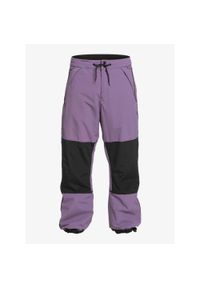 Spodnie narciarskie męskie Quiksilver Snow Down Technical. Kolor: fioletowy. Sport: narciarstwo #1