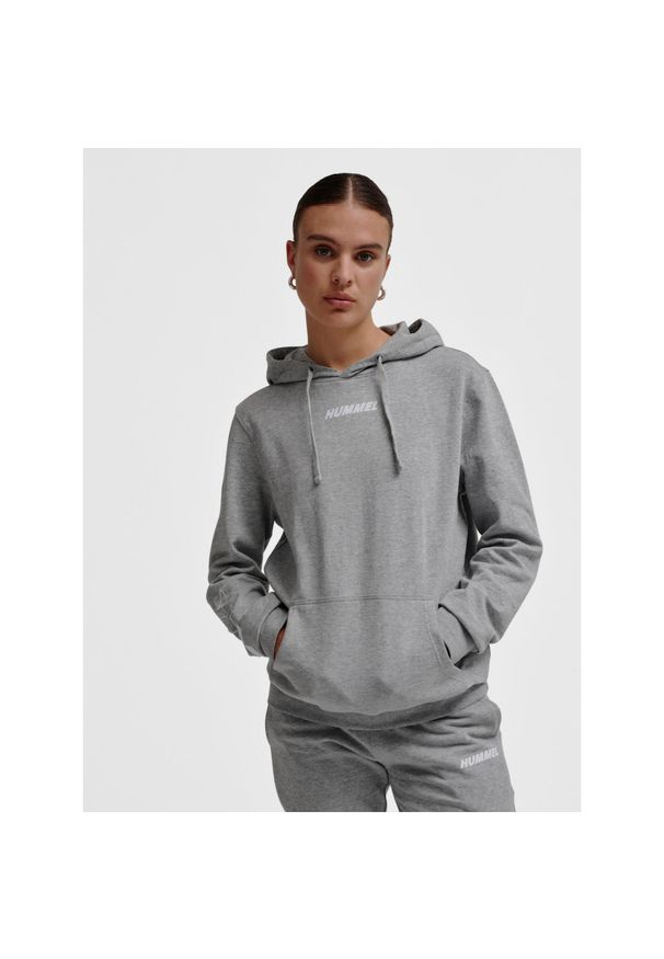 Bluza z kapturem Hummel Elemental. Typ kołnierza: kaptur. Kolor: szary. Sport: piłka ręczna