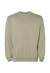 ROLY - Bluza Unisex Dla Dorosłych Jaya Z Okrągłym Dekoltem. Kolor: zielony