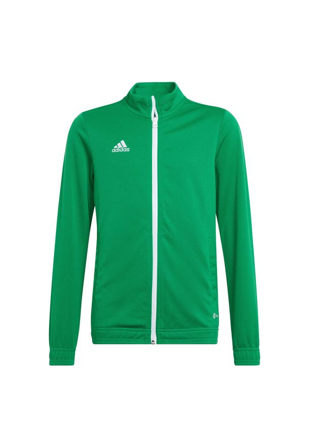 Adidas - Bluza piłkarska dla dzieci adidas Entrada 22 Track Jacket. Kolor: biały, wielokolorowy, zielony. Sport: piłka nożna