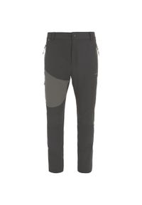 Viking - Spodnie męskie VIKING Rago Man. Kolor: szary. Sezon: lato. Sport: turystyka piesza #1