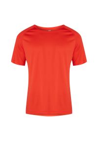 Pro Touch - Koszulka męska do biegania PRO TOUCH Martin 285834. Materiał: materiał, poliester, skóra, tkanina. Długość rękawa: raglanowy rękaw. Długość: krótkie. Sport: bieganie, fitness #3