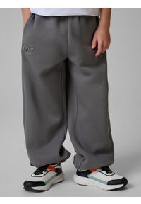 4f - 4F Spodnie dresowe joggery chłopięce - szare 158/164 (12-14 lat). Okazja: na co dzień, na uczelnię. Kolor: szary. Materiał: dresówka. Sezon: lato. Styl: casual, sportowy #2