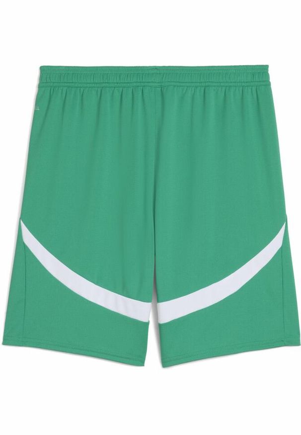 Puma - Męskie szorty Senegal 2025 PUMA Sport Green White. Kolor: biały, wielokolorowy, zielony. Wzór: aplikacja