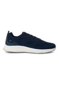 Regatta - Męskie Sportowe Buty Sportowe. Okazja: na spacer. Kolor: niebieski. Sport: turystyka piesza