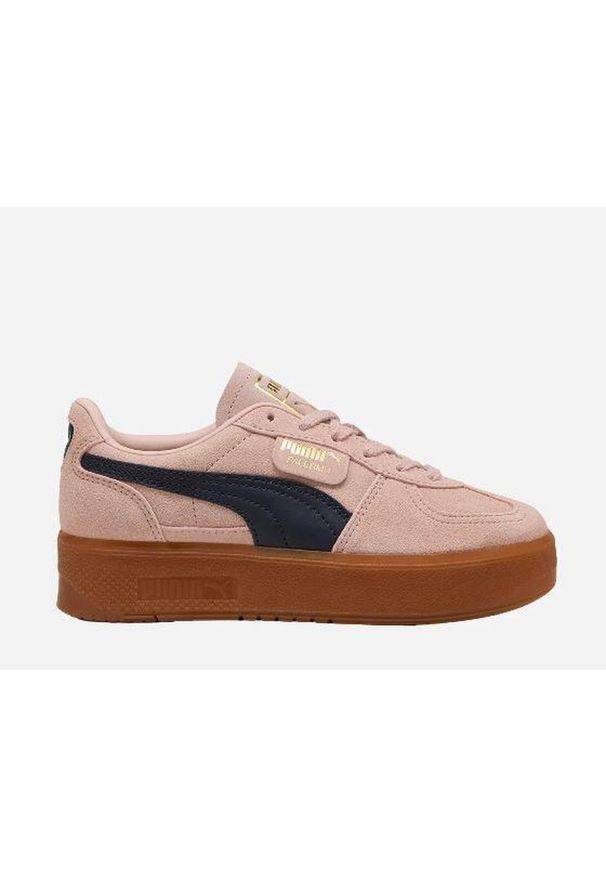 Buty sportowe damskie Puma PALERMO ELEVATA. Kolor: różowy. Sport: turystyka piesza