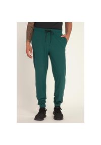 JAY-PI - Męskie Spodnie dresowe FLEXNAMIC® materiał szybkoschnący do fitnessu. Kolekcja: plus size. Kolor: zielony. Materiał: elastan, poliester, materiał. Sport: fitness