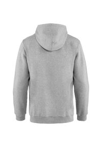 Bluza dresowa męsa Fjällräven Logo Hoodie. Typ kołnierza: kaptur. Kolor: szary. Materiał: dresówka #2