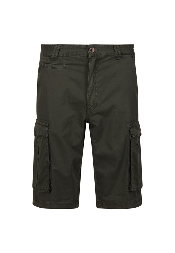 Regatta - Męskie Szorty Shorebay. Kolor: zielony. Sport: turystyka piesza