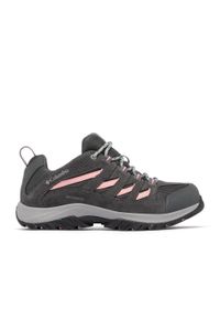 columbia - Buty Columbia Crestwood. Okazja: na co dzień. Kolor: szary
