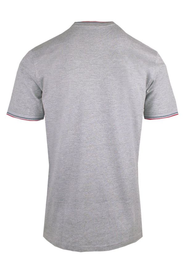 T-Shirt (Koszulka) Męska - Pako Jeans - Popielata, Drobny Nadruk. Okazja: na co dzień. Kolor: szary. Materiał: bawełna, wiskoza. Wzór: nadruk. Styl: casual